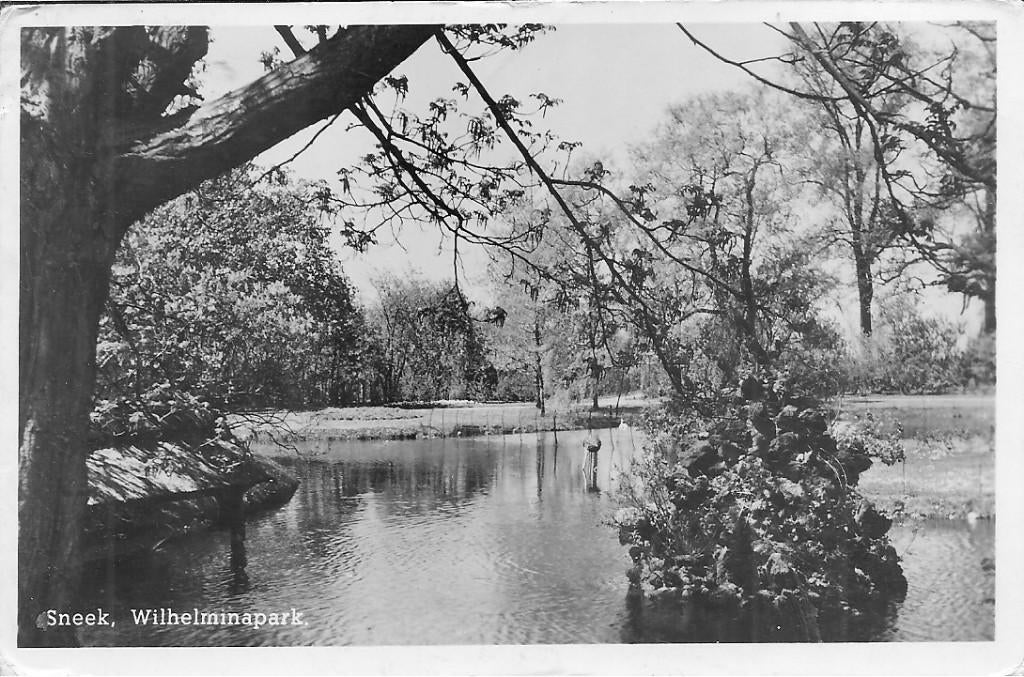 Sneek Wilhelminapark., Verzamelen, Ansichtkaarten | Nederland, Ophalen of Verzenden, 1940 tot 1960, Ongelopen, Friesland