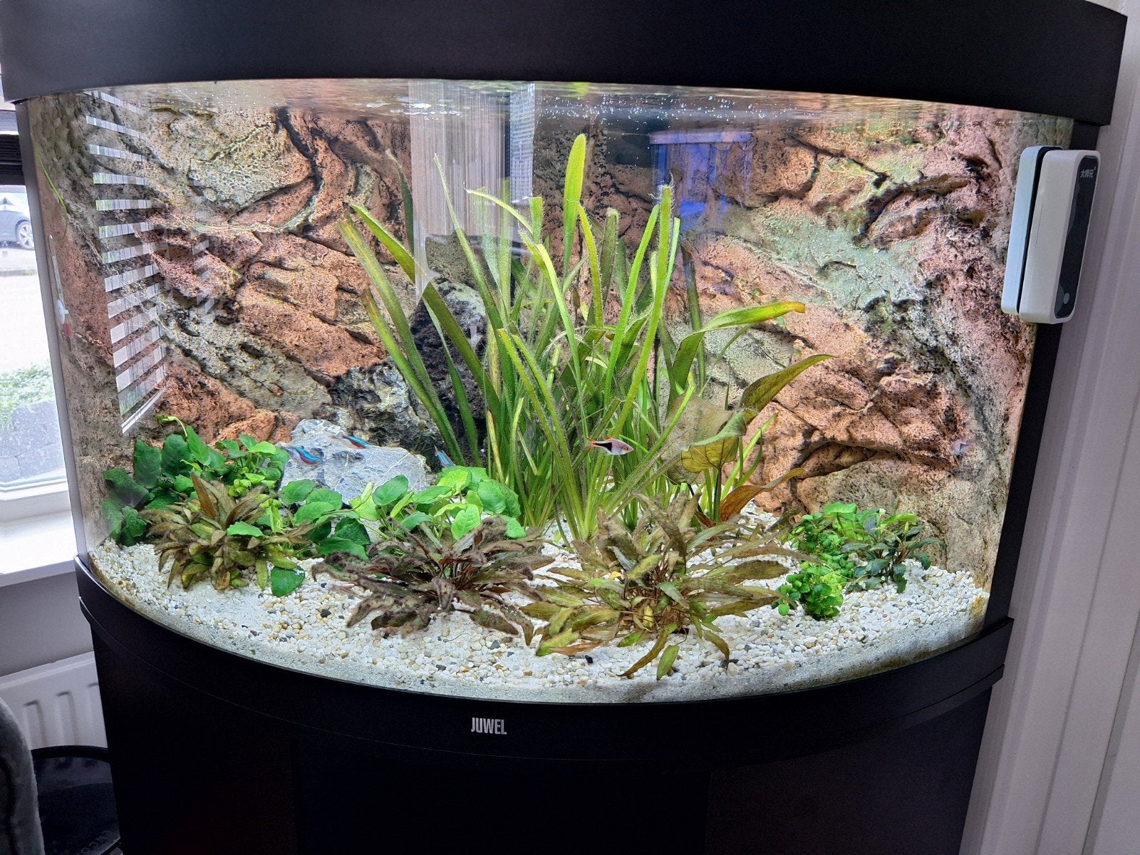 juwel hoek aquarium, Ophalen, Zo goed als nieuw, Aquariummeubel, Juwel
