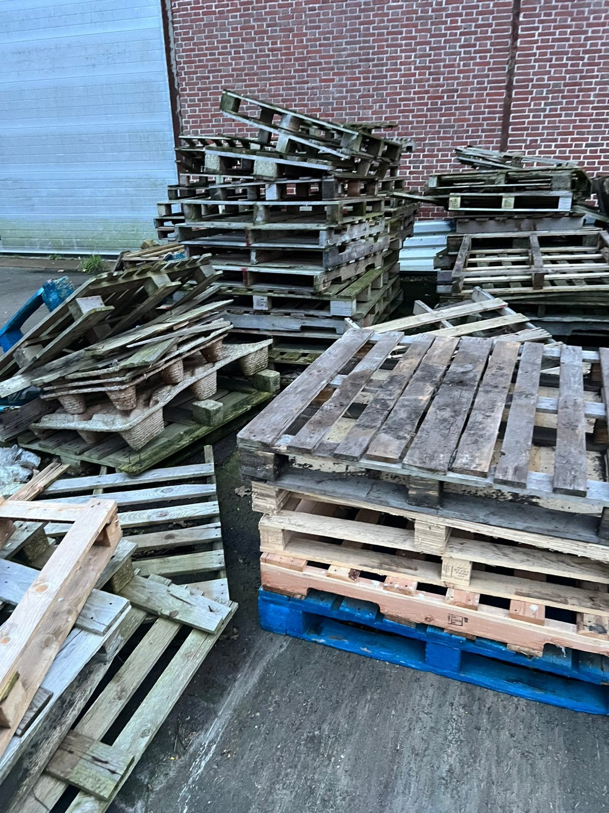 Brandhout/ pallets /timmerhout, Ophalen, Zo goed als nieuw, 50 mm of meer, Pallet