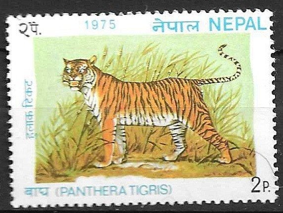 Nepal postzegel 1975 - Tijger (Panthera Tigris), Ophalen of Verzenden, Gestempeld, Zuid-Azië