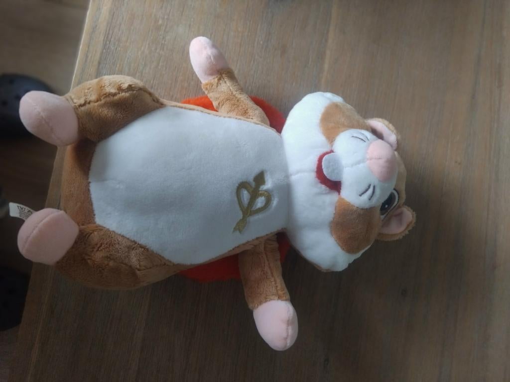 Valentijn hamster, Ophalen of Verzenden, Overige typen