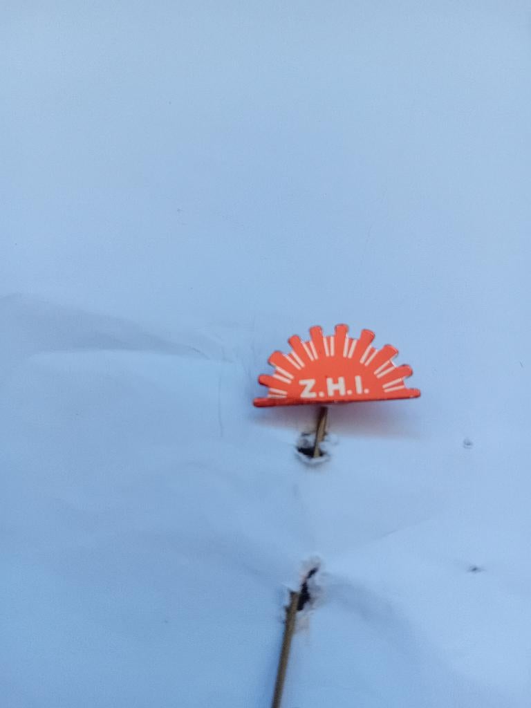 Pin - Zwaardemaker - Zaandam, Ophalen of Verzenden, Zo goed als nieuw, Overige onderwerpen, Speldje of Pin