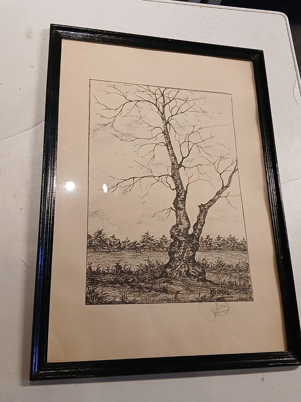 Vintage Ets: Boom in Landschap, Gesigneerd, Antiek en Kunst, Kunst | Etsen en Gravures, Landschap, 1950 - 1999, Ets, Ingelijst