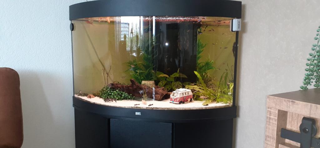 Juwel aquarium   plus alle toebehoren ook vis bestand, Ophalen, Leeg aquarium, Juwel