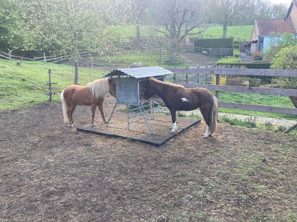 Hooiruif hooihuis van metaal, met dak, voor shet, minipaard, Dieren en Toebehoren, Stalling en Weidegang