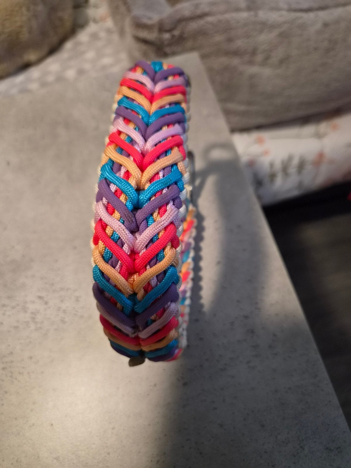 hals band voor hond vrouwtje, Ophalen of Verzenden, Nieuw