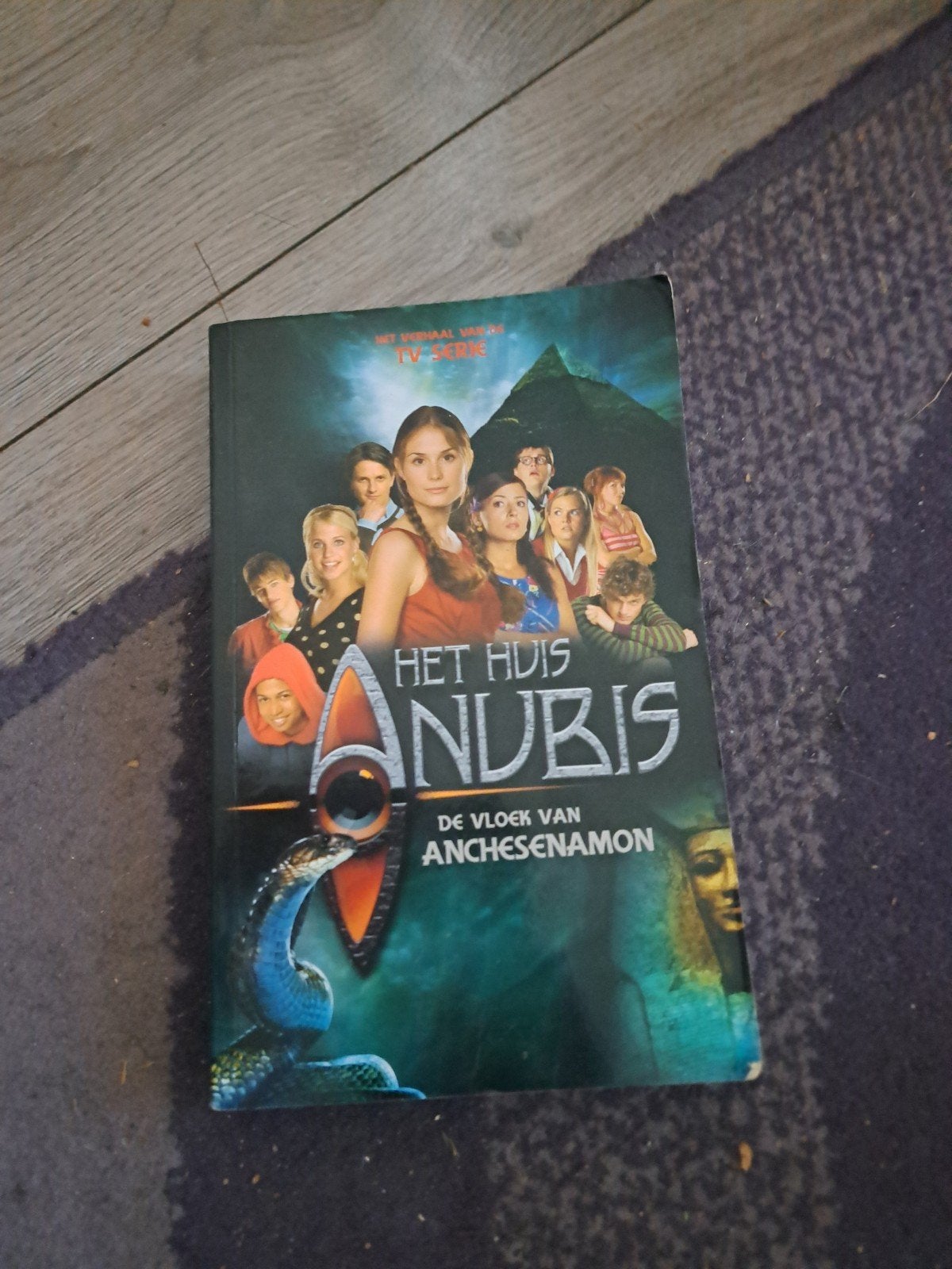 Het Huis Anubis: De Vloek van Anchesenamon, Ophalen of Verzenden, Gelezen, Anjali Taneja, Fictie