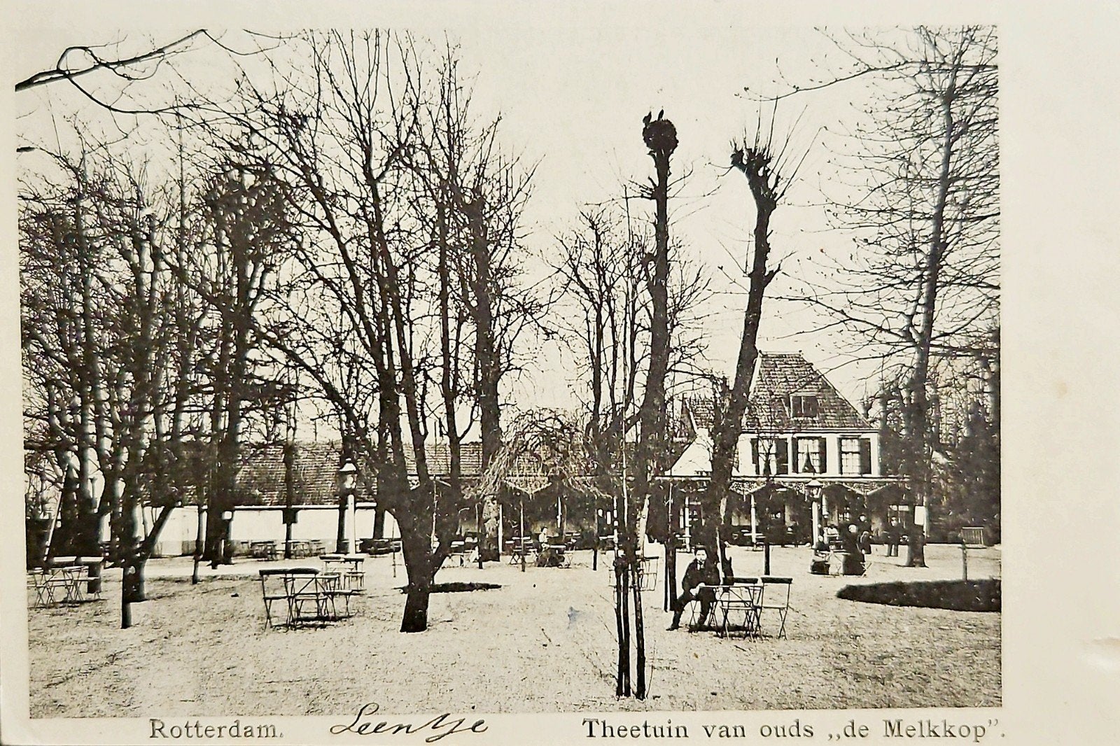 Rotterdam - Theetuin De Melkkop, Verzenden, Voor 1920, Gelopen, Zuid-Holland