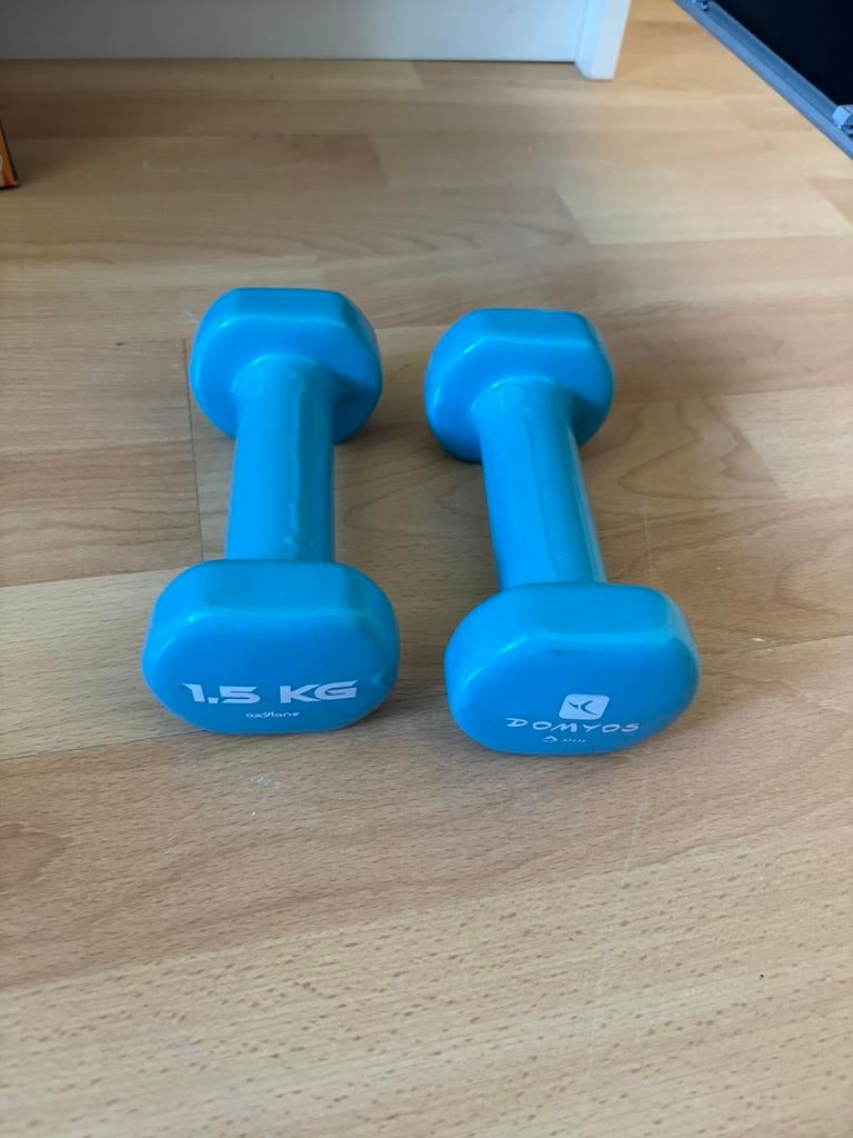 2 handgewichten, Ophalen, Gebruikt, Kettlebell