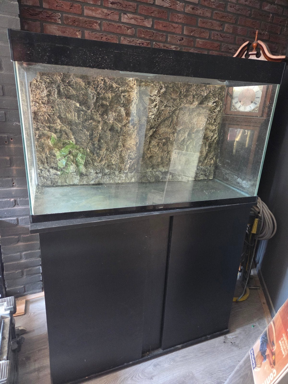 aquarium, Dieren en Toebehoren, Vis