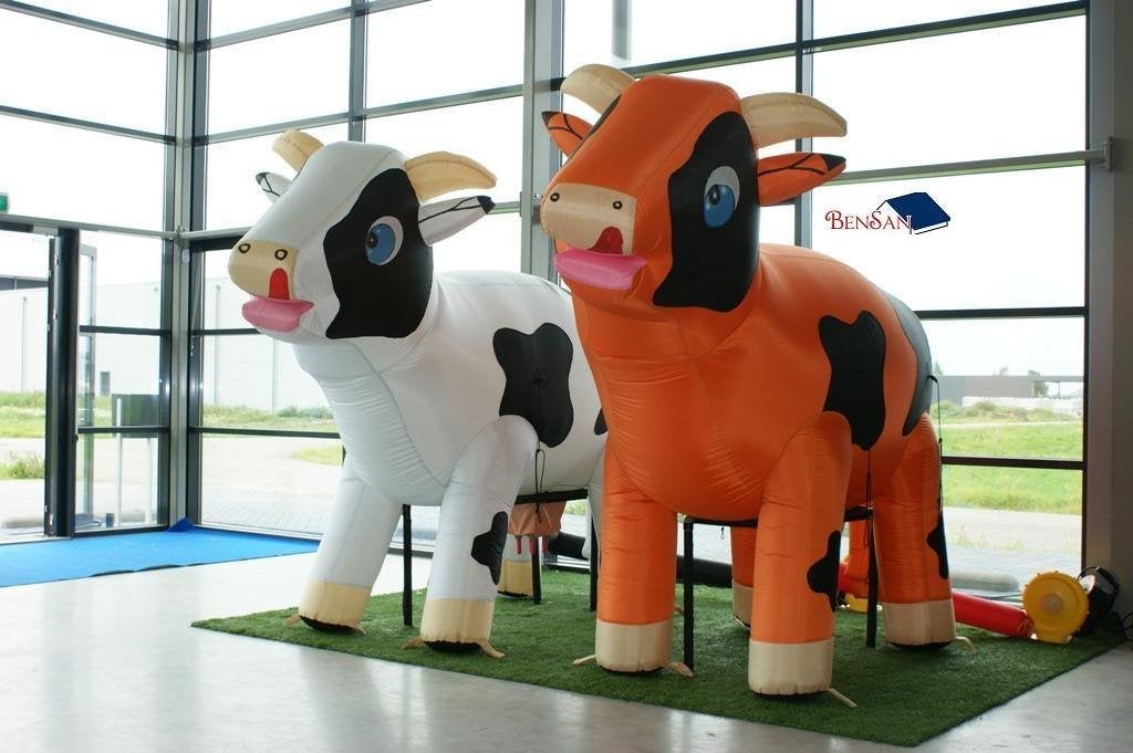 Ranja koe huren kinder feest feesten partijen bensan enter, Ophalen, Zo goed als nieuw, Overige