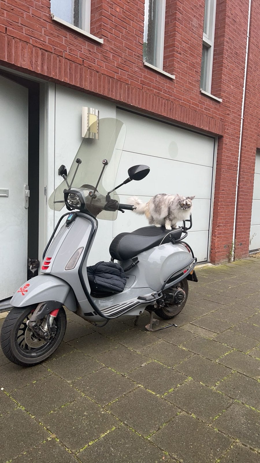 Vespa S 2019 - Zo goed als nieuw, weinig kilometers, Ophalen, Zo goed als nieuw, Benzine, Vespa S