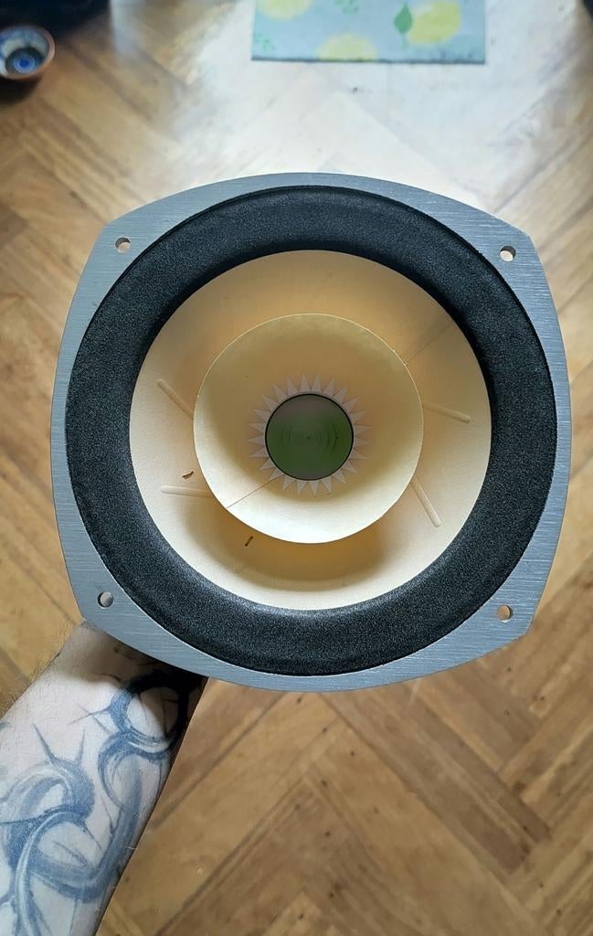 AER BD-3 full-range speaker paar, Audio, Tv en Foto, Luidsprekers, Overige merken, Overige typen, Ophalen of Verzenden, Zo goed als nieuw