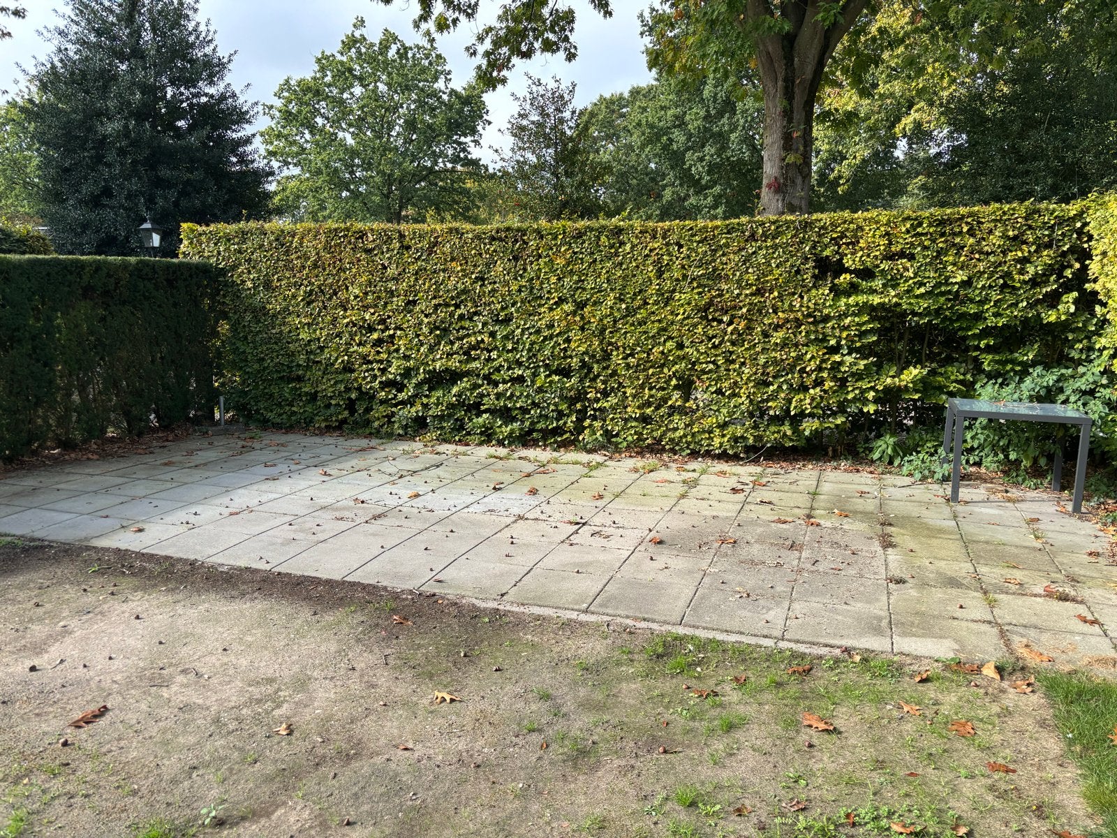 Gebruikte 50/50 betontegels - gratis ophalen, Tuin en Terras, Ophalen, Gebruikt, 10 m² of meer, Beton