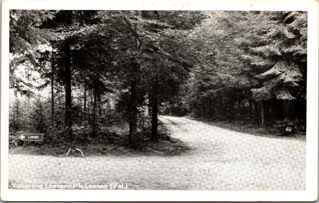 Loenen op de Veluwe - 12 oude ansichtkaarten II, Verzamelen, Verzenden, 1940 tot 1960, Gelopen, Gelderland