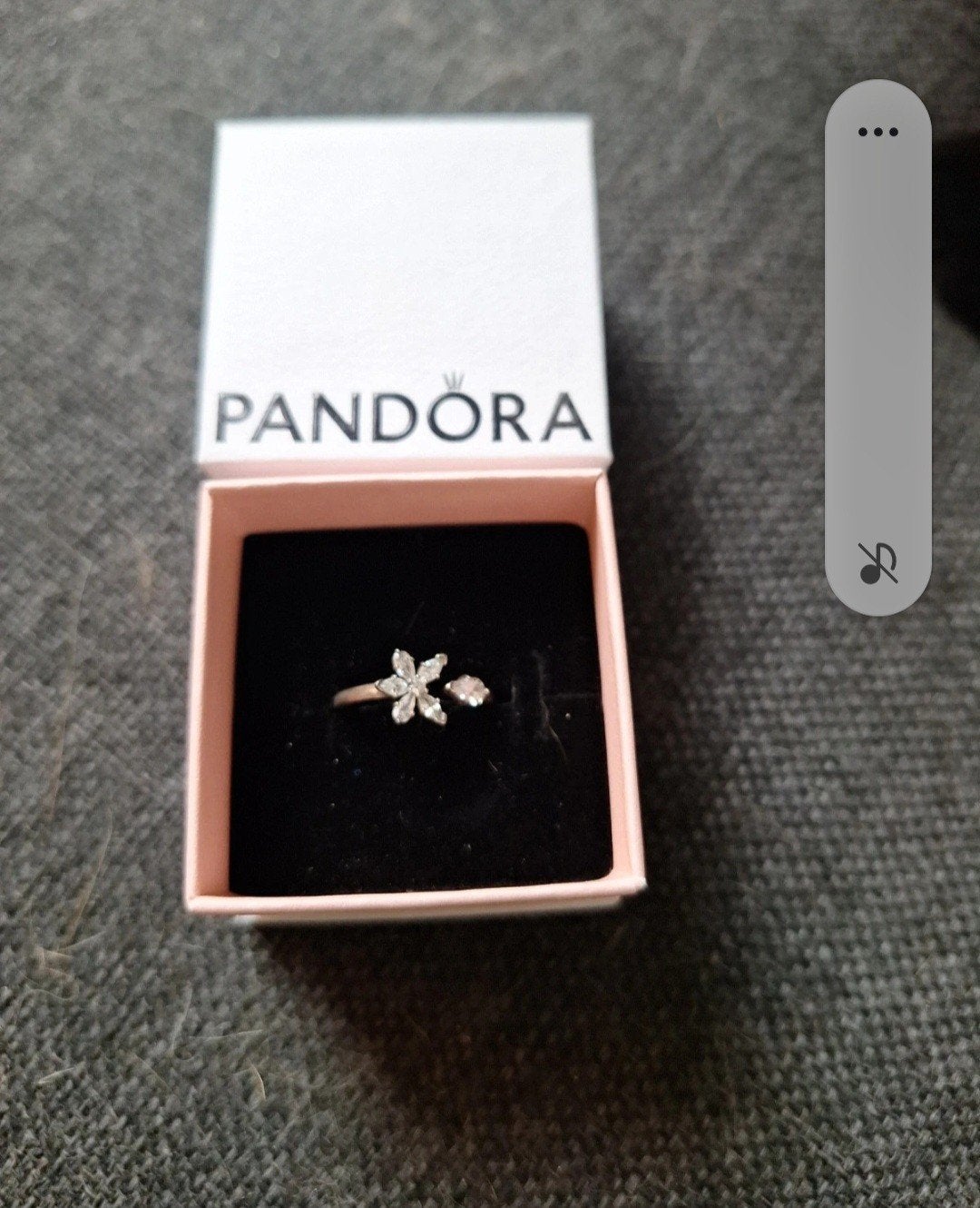 Pandora ring, Ophalen of Verzenden
