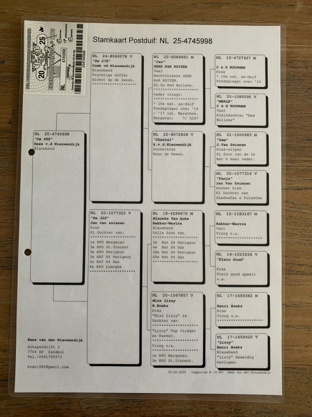 4 kweekduivinnen aangeboden voor de overnachting., Vrouwelijk, Postduif