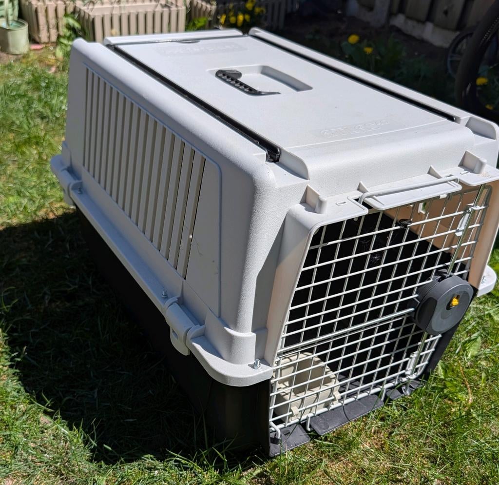 Transport trolley for dogs, Ophalen of Verzenden