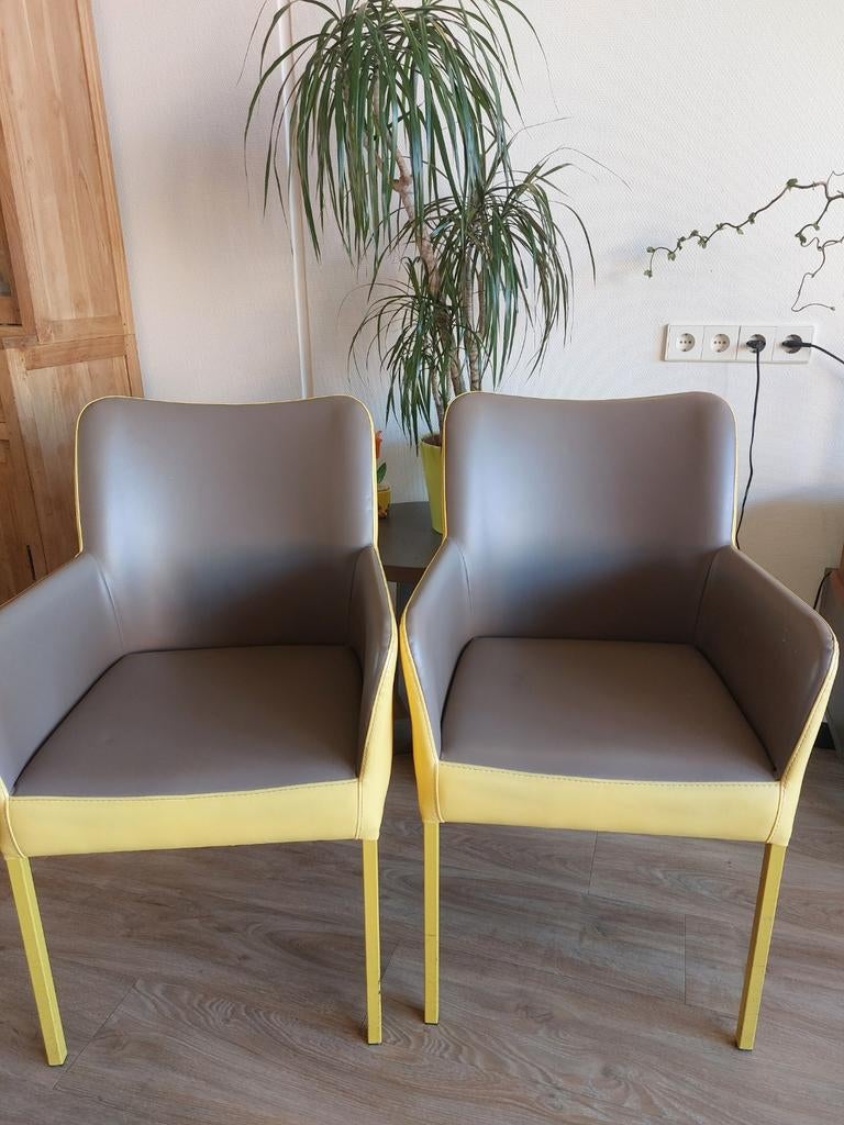 Moderne stoelen gratis op te halen in Heerhugowaard, Ophalen of Verzenden, Overige kleuren, Twee