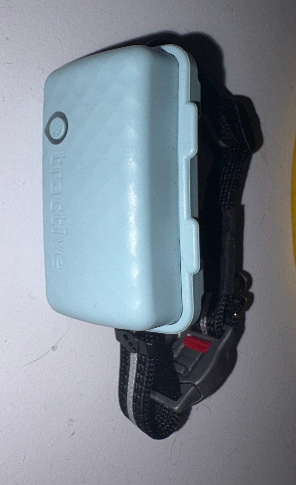 Gps tracker kat, Dieren en Toebehoren, Ophalen of Verzenden, Nieuw