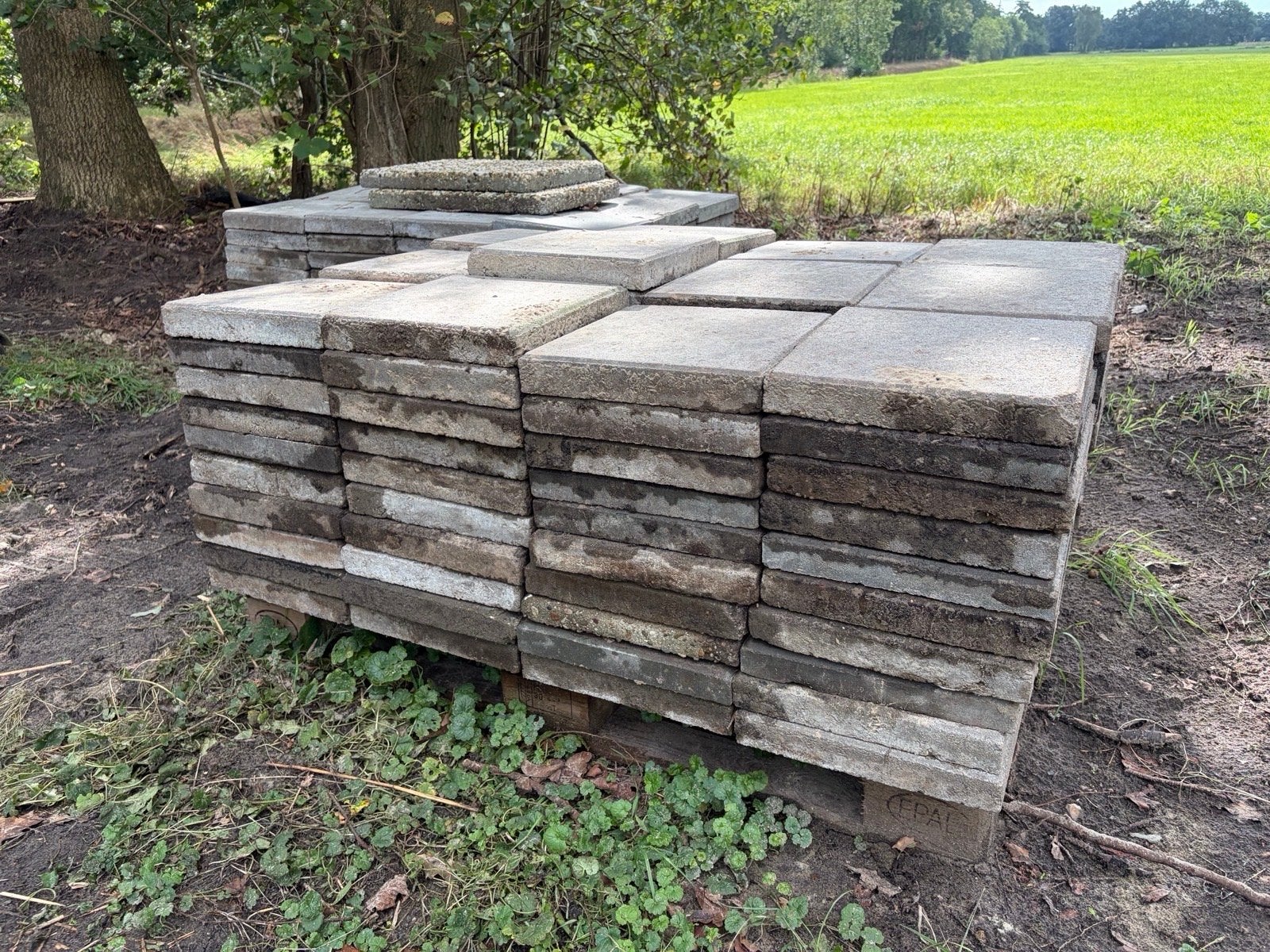 Betontegels 30x30 cm - ca. 285 stuks (gratis af te halen), Ophalen, Gebruikt, 10 m² of meer, Beton