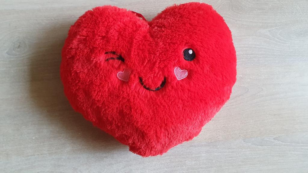 Pluche hart., Ophalen of Verzenden, Zo goed als nieuw, Rood, Overige typen