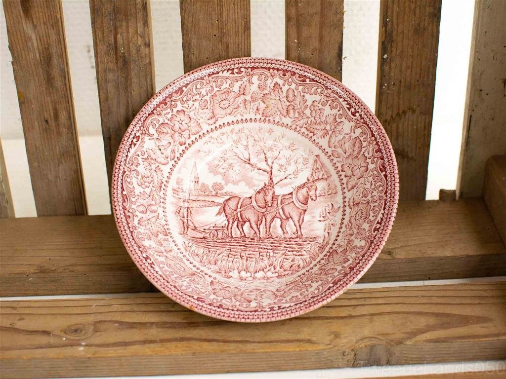 Schaaltje ironstone 26799, Gebruikt, Ophalen of Verzenden, Bord(en), Overige stijlen