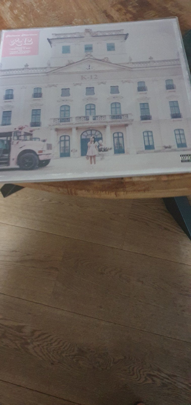 Melanie Martinez - K-12 Roze Vinyl LP, Ophalen, LP, Pop, Zo goed als nieuw