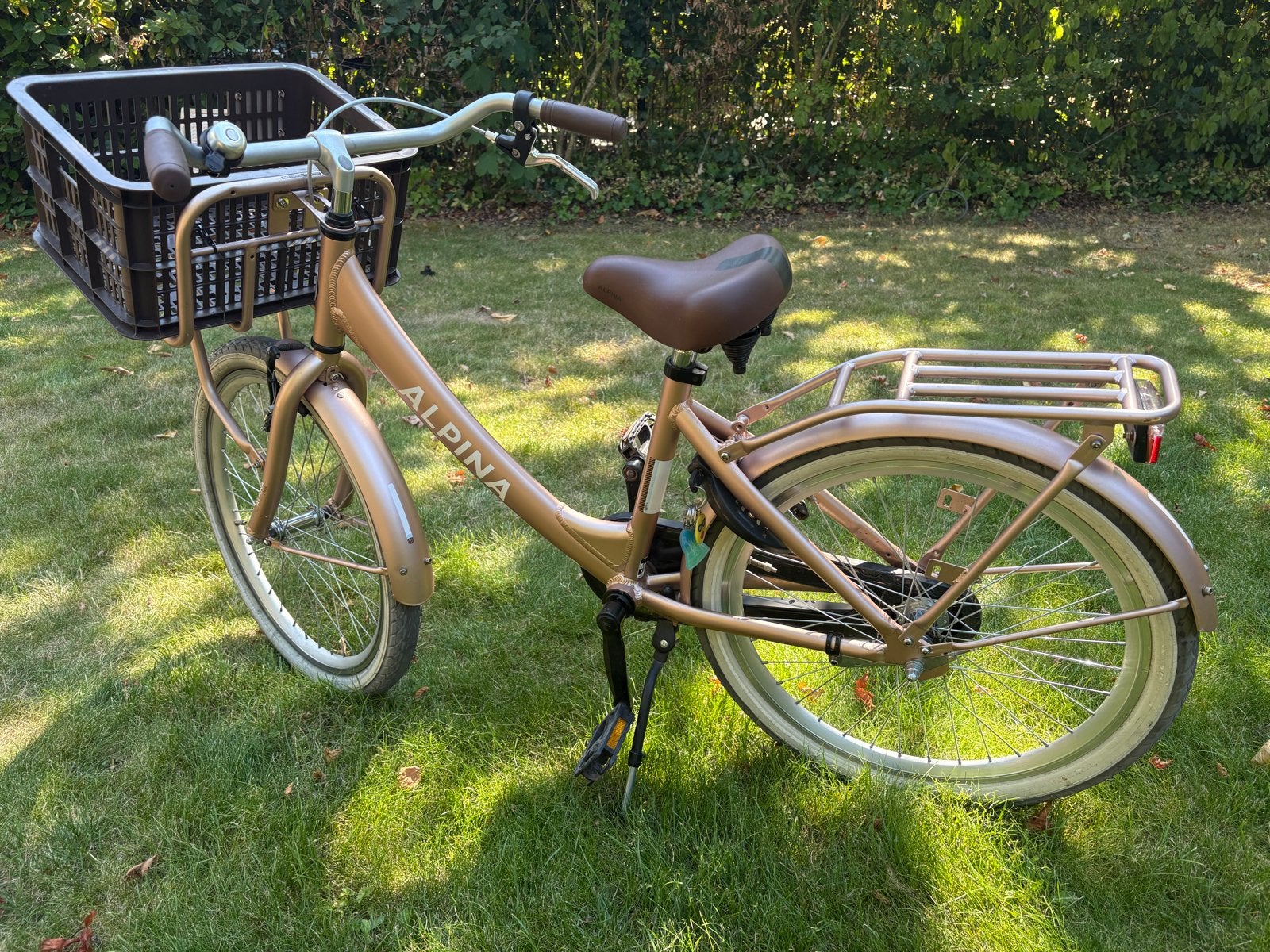 Alpina Clubb 22 inch kinderfiets, Fietsen en Brommers, Ophalen, Terugtraprem, 22 inch, Gebruikt
