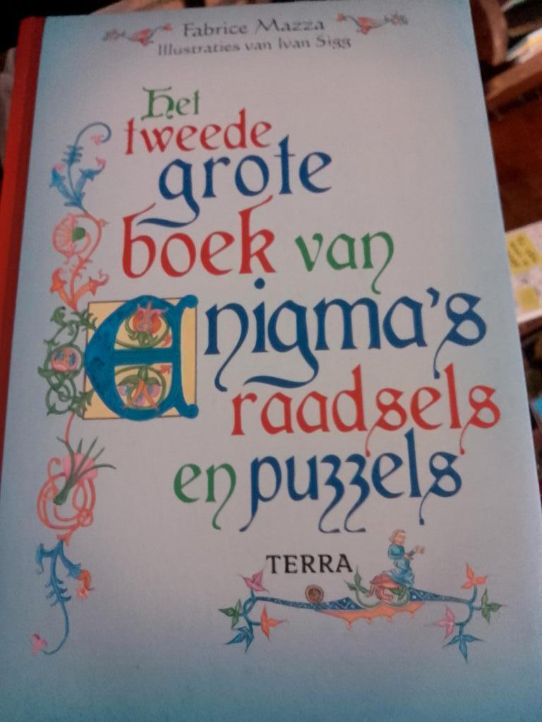 het tweede grote boek van enigma s raadsels en puzzels, Ophalen of Verzenden, Minder dan 500 stukjes, Overige typen