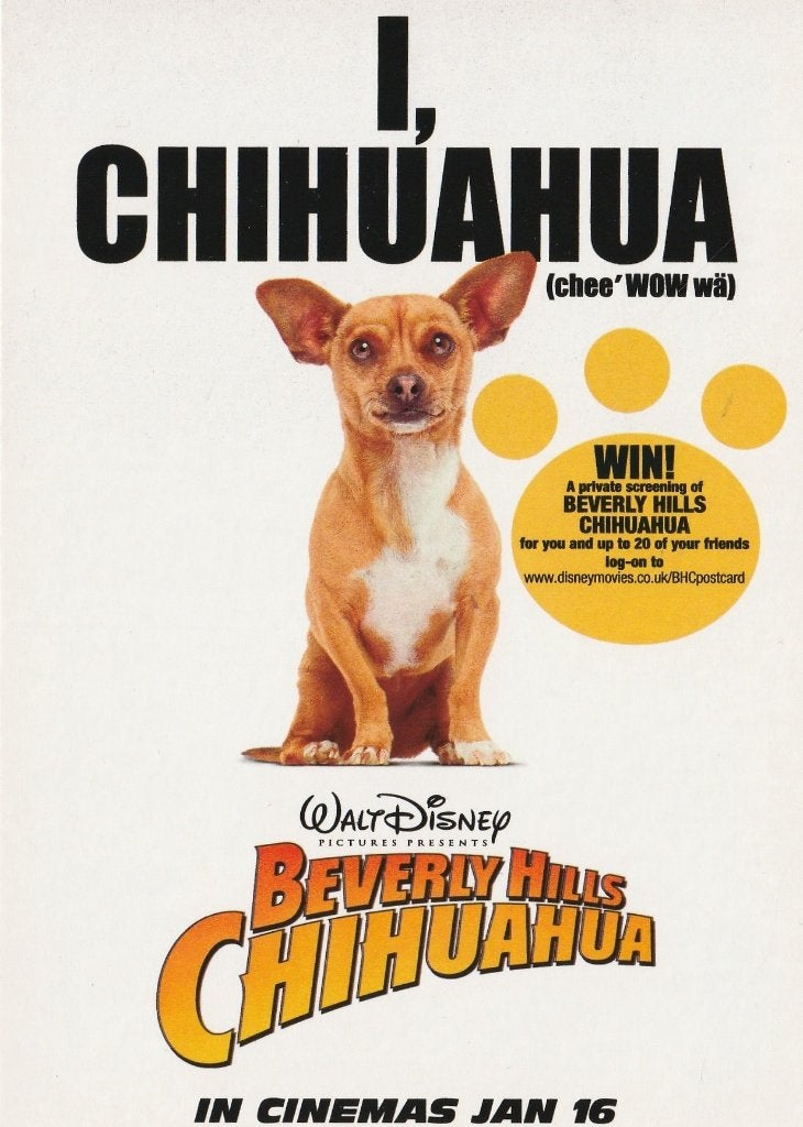 Kaart "Beverly Hills Chihuahua" - Walt Disney, Verzenden, 1980 tot heden, Ongelopen, Cultuur en Media