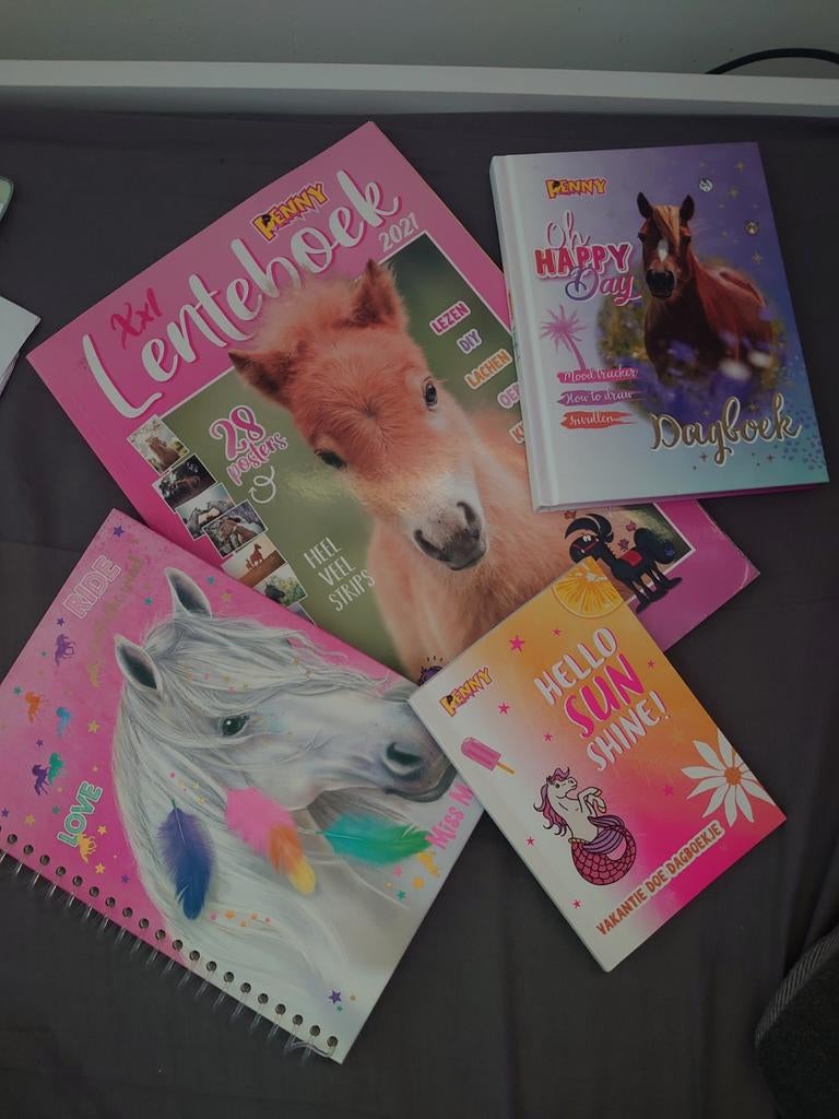 Penny en miss melody boekjes, Ophalen of Verzenden, Nieuw, Overige typen