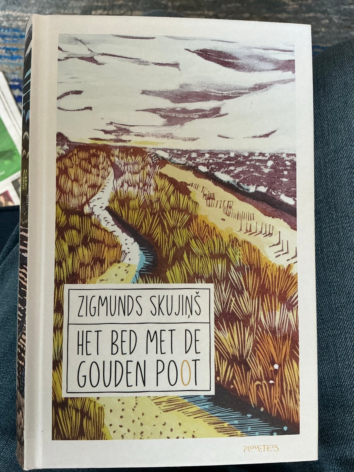 Het Bed Met De Gouden Poot - Zigmunds Skujiņš, Ophalen of Verzenden, Zo goed als nieuw, Europa overig