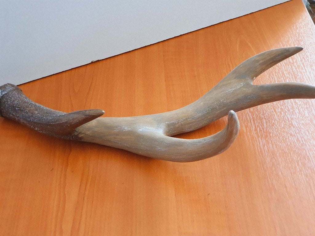 DECORATIE GEWEI, Ophalen of Verzenden, Zo goed als nieuw, Hert, Gewei of Kop