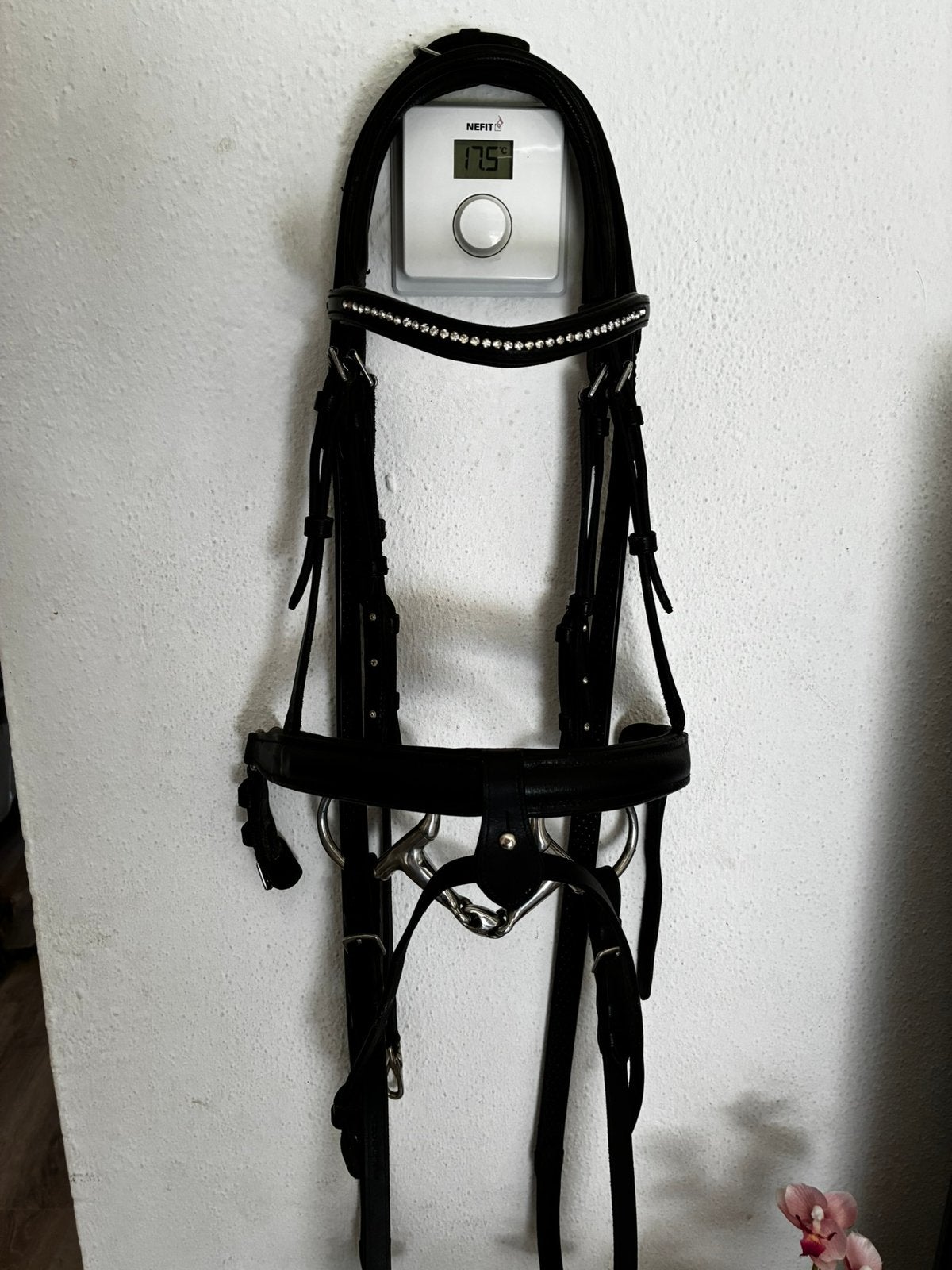 Hoofdstel strass zwart maat PONY, Hoofdstel, Overige merken, Ophalen of Verzenden, Pony