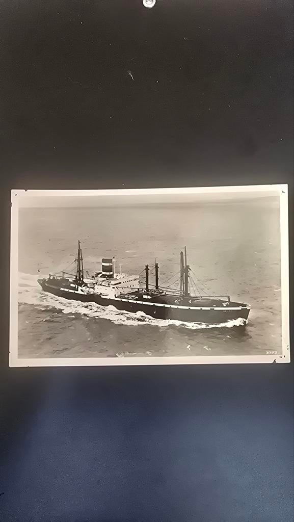 foto m.s. "Delft" Koninklijke Nederlandse Stoomboot, Ophalen of Verzenden, Voor 1940, Overige onderwerpen