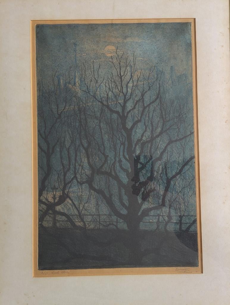 Ets Dick van Luijn. Gesigneerd, Ophalen, Ingelijst, Landschap, 1950 - 1999