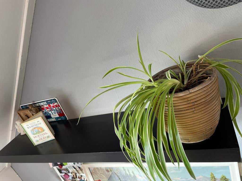 IKEA Lack wandplank zwart x 2, Ophalen, Gebruikt