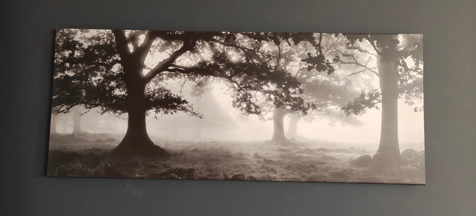 foto  bos op doek, Ophalen, Voor 1940, Overige onderwerpen