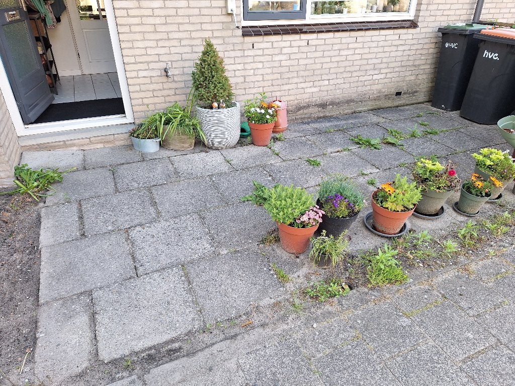 GRATIS AFHALEN: 50x50cm tuintegels, Tuin en Terras, Tegels en Klinkers, Ophalen, Gebruikt, Beton, Terrastegels