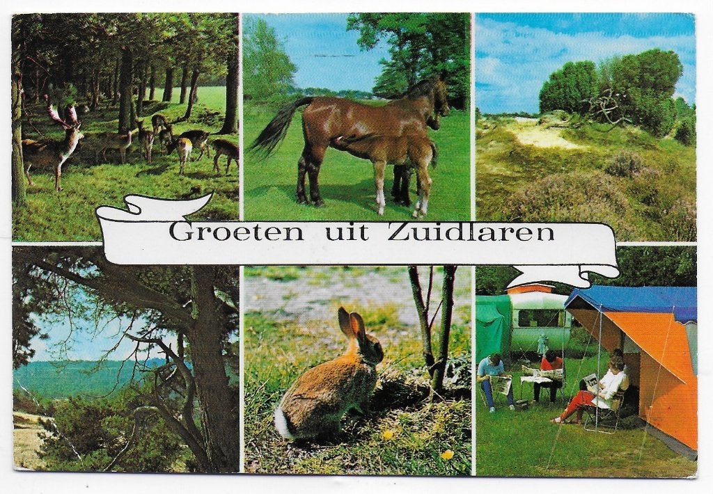Zuidlaren Gelopen Ansichtkaart ( B6148 ), Ophalen of Verzenden, 1980 tot heden, Gelopen