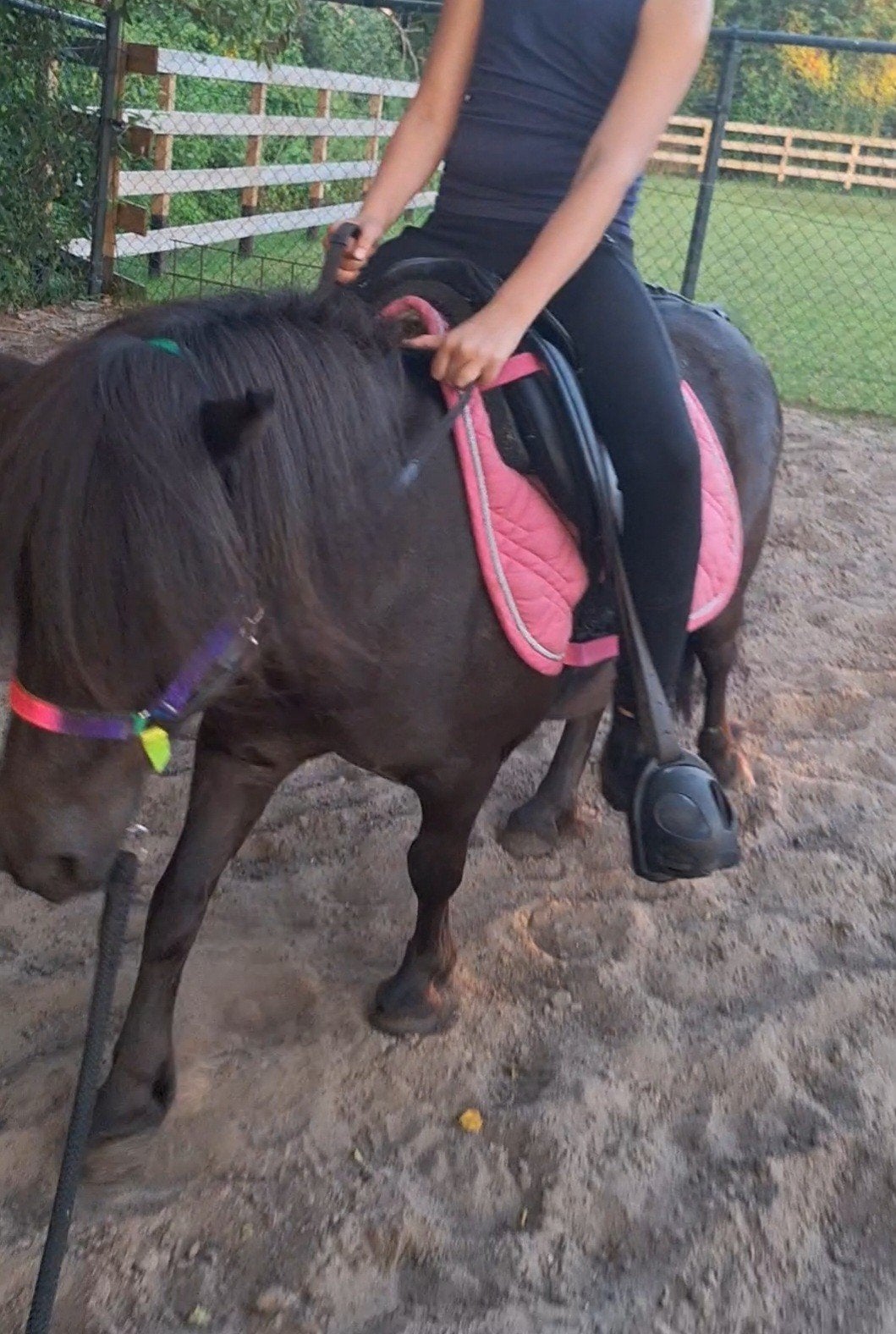 7 jarige kinder shetlander merrie, Dieren en Toebehoren, Pony's, Merrie, A pony (tot 1.17m), 7 tot 10 jaar