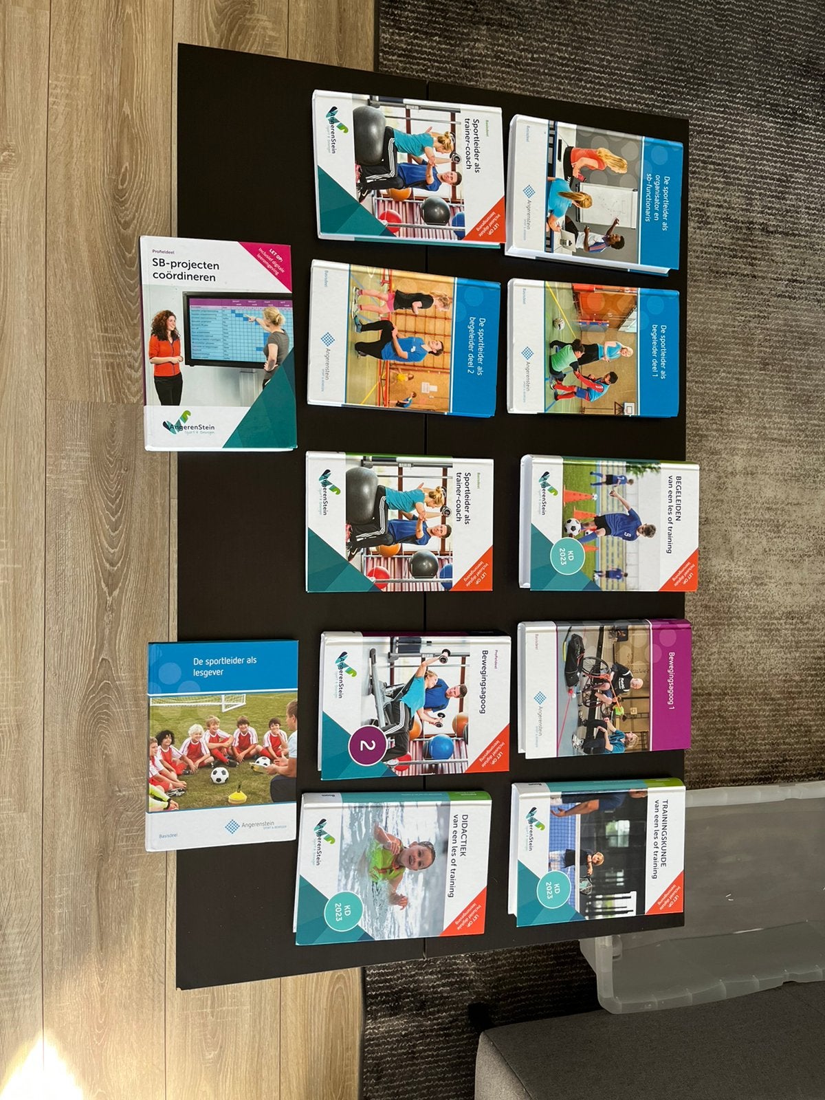 Mbo 4 sport en bewegen, bewegingsagoog leefstijlcoach boeken, Boeken, Ophalen, Zo goed als nieuw, Overige niveaus