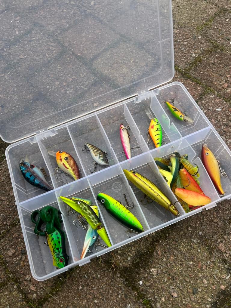 Vis kunstaas set in opbergdoos, Ophalen of Verzenden, Nieuw, Kunstaas