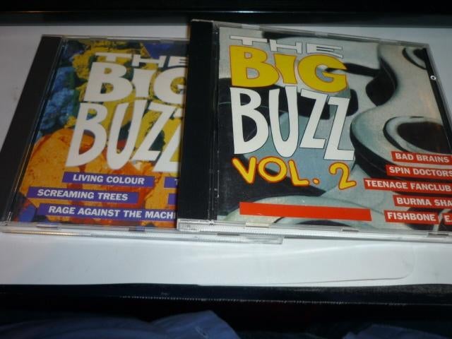 The Big Buzz de cd's vol 1 en 2, Verzenden, Zo goed als nieuw, Pop