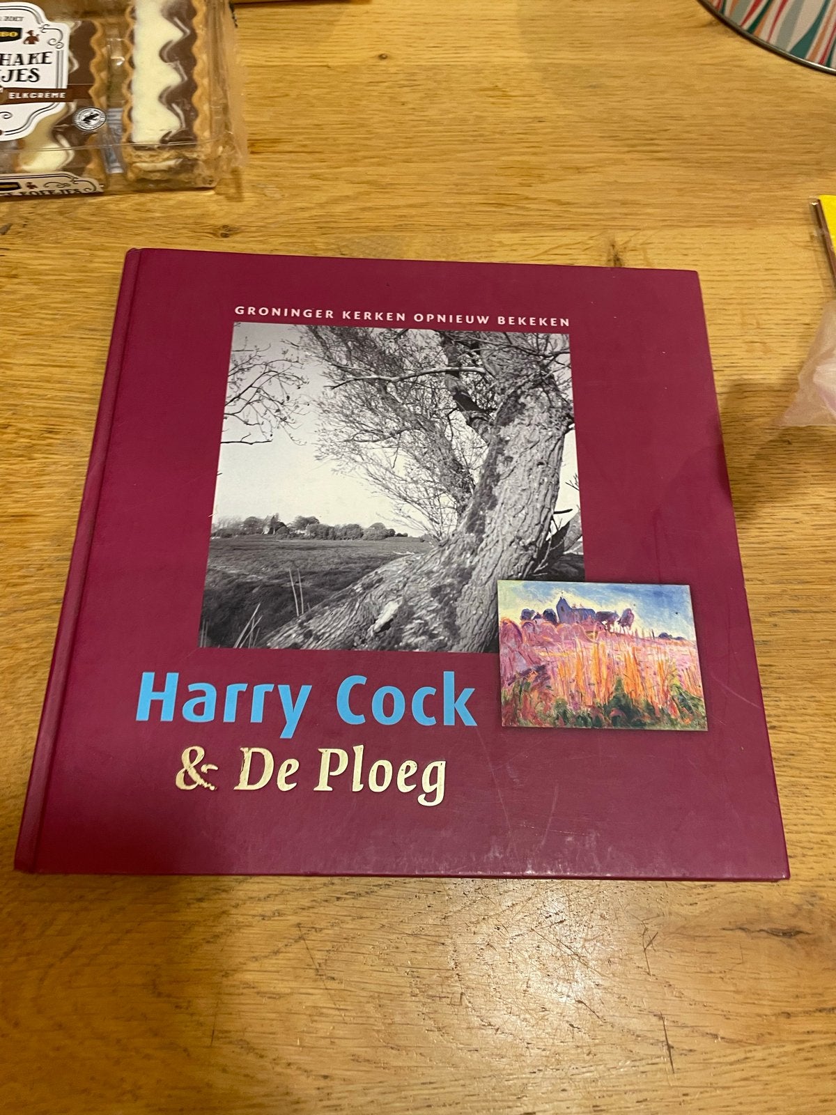 Harry Cock & De Ploeg boek: Schilderkunst als nieuw, Ophalen of Verzenden, Zo goed als nieuw, Overige onderwerpen