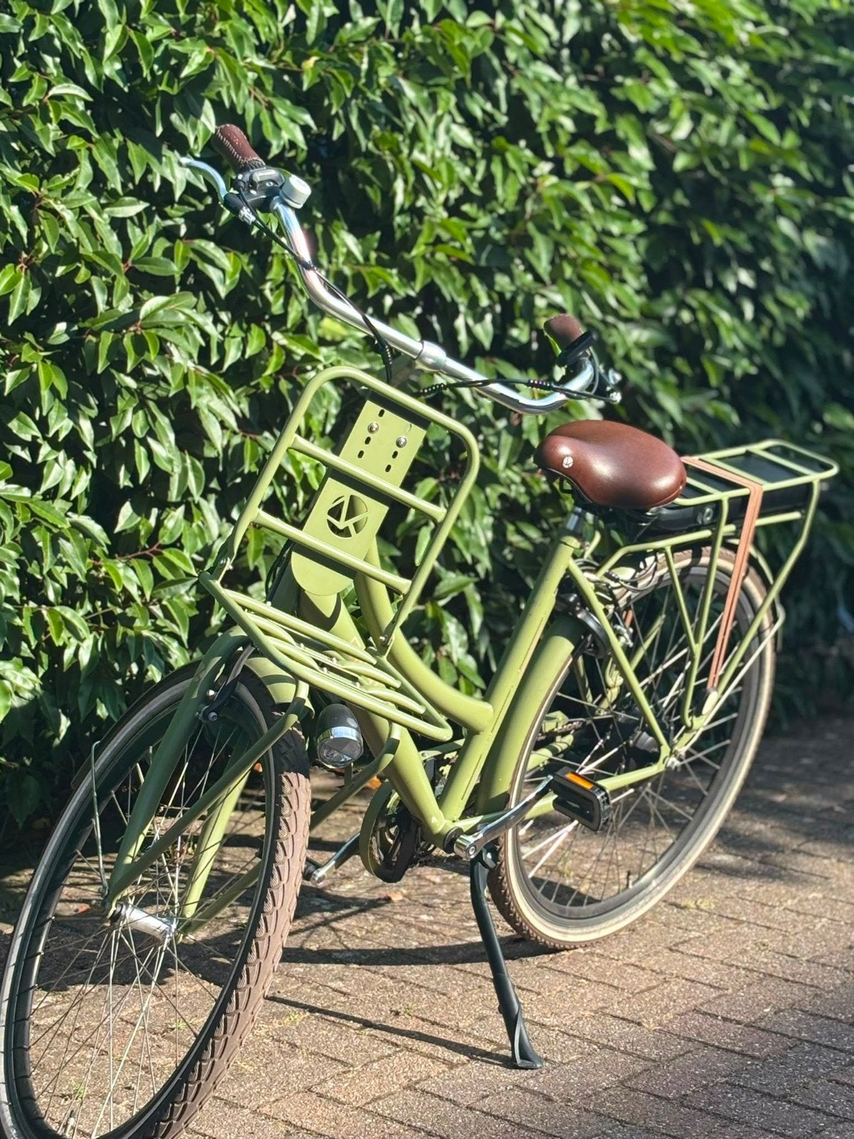Raaks Moxy Transportfiets e-bike - Olijfgroen, Terugtraprem, Versnellingen, Ophalen, Overige merken
