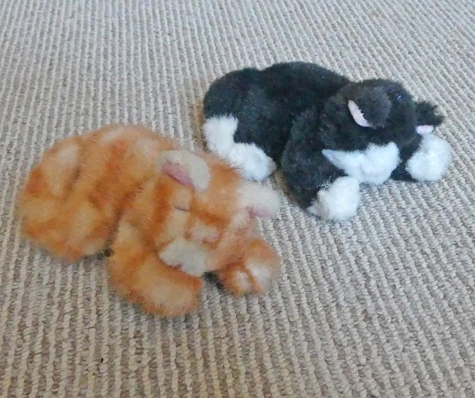 Russ slapende poesjes kat poes zwart rood knuffel pluche, Ophalen of Verzenden, Gebruikt