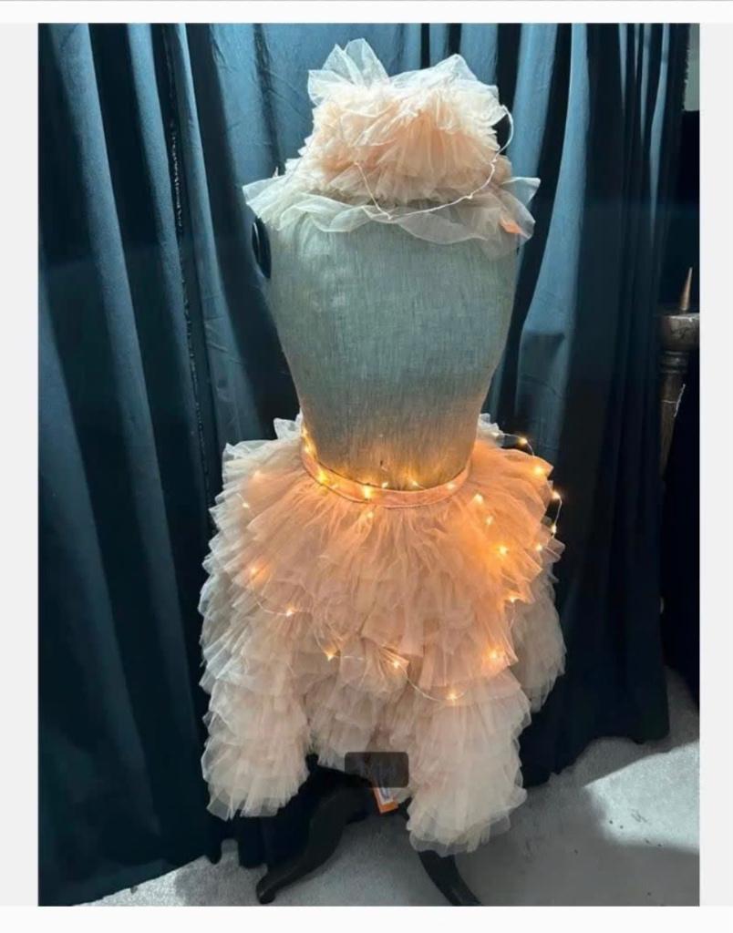 Prachtige roze rok tutu en kraag voor bv. paspop, Antiek en Kunst, Ophalen of Verzenden
