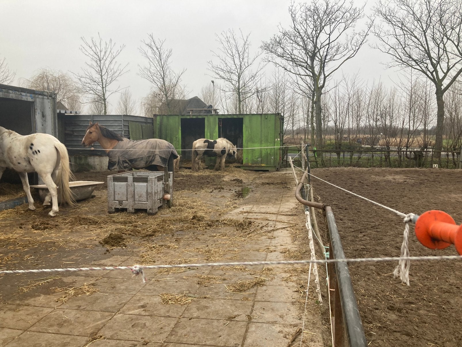 Paarden en shetlanderstallen te huur rubber tegels te koop, Dieren en Toebehoren